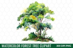 Watercolor Forest Tree Clipart Product Image 1