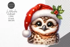 Christmas clipart, Owl clipart, Winter sublimation Product Image 1