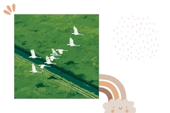 Summer Pillow Case, Nature Pillow Design, Swan PNG Product Image 2