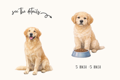 Labrador Clipart Collection - 20 PNGs Product Image 2
