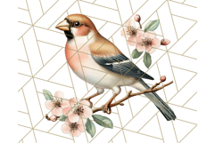 Vintage Song Bird Clipart PNG, Botanical Bird Art Clip Art Product Image 2