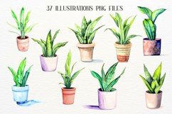 House Plants Watercolor Clipart, Indoor Plants Product Image 2