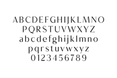 Creators Type Elegant Modern Serif Display Font Product Image 2