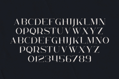 KAVO Elegant Display Font Product Image 2