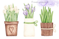 Watercolor Set “Spring Flowers&quot; Product Image 3