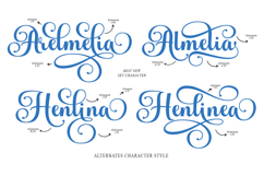 Andelintia - Family Font In 67 Styles Product Image 2