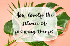 Bolabos Script Product Image 2