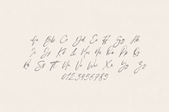 Mirage Elegant Signature Script Font Product Image 2