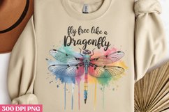 Fly free like a dragonfly PNG, Retro Dragonfly Sublimation P Product Image 1
