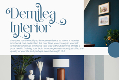 Romista Product Image 2