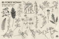 Forest Botany line art collection Svg Png Eps Product Image 2