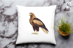 Bald Eagle Clipart PNG Watercolor Product Image 2