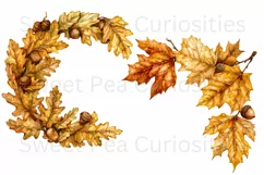 Fall, Autumn, Leaves, Ephemera, PNG, watercolor, Clipart Product Image 2