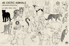 Exotic animals line art collection Svg Png Eps Ai Product Image 2