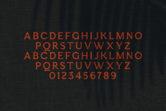 Esquie Modulated Sans Product Image 2