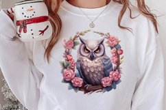 Christmas Owl Clipart, Christmas Owl Clipart, Christmas Owl Product Image 2