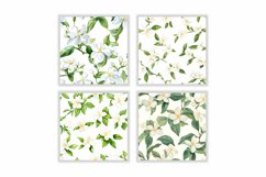 Watercolor Jasmine Flower Digital Paper Product Image 2