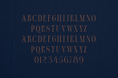 Thorn Tale Echo Edition Luxury Modern Serif Font Product Image 2