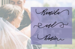 Pandaro Script Product Image 2