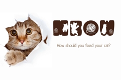 Cat Love - Decoratove Font Product Image 2
