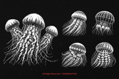 10 Bundle Dark Art Jellyfish Ocean Animals Sea Creature Product Image 3