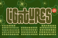 Lifloon-Fun Ligatures Fon Product Image 2