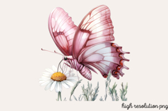 Pastel Easter Butterflies Clipart PNG Product Image 1