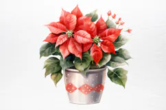 Christmas Houseplants Clipart PNG Product Image 2