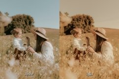 30 Fall Fantasy Video LUTs Product Image 2