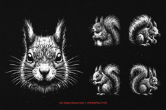 10 Bundle Dark Art Squirrel Animal Horror Angry Skull Tattoo Product Image 3