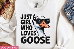 Funny Goose Sublimation Bundle PNG Product Image 8