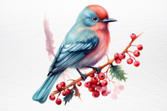 Chirstmas Birds Clipart PNG Product Image 2