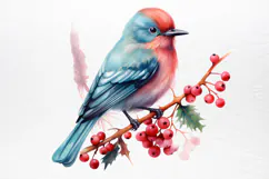 Chirstmas Birds Clipart PNG Product Image 2