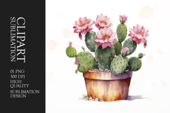 Watercolor cactus in pot clipart sublimation Product Image 1