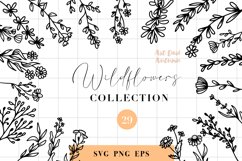 Wildflowers botanical illustrations bundle | Florals SVG Product Image 1