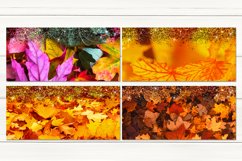 Oil paint Autumn leaves | Sublimation Mug design bundle, JPG Product Image 2