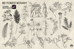 Forest Botany Procreate stamp brushes Product Image 2