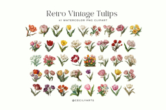 Retro Vintage Tulips Cliparts Bundle Product Image 2