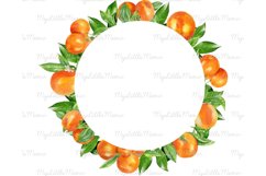 Floral frame clipart | fruit watercolor wreath #w142 Product Image 3