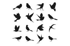 Bird Product Image 2