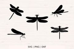 Dragonfly SVG Bundle, PNG DXF Insect Silhouettes Product Image 2