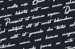 Brastigma a Signature Font Product Image 2