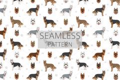 Gerberian Shepsky dog mix Product Image 6