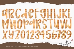 Preppy Gingham Fall Lace PNG Alphabet | Sublimation Font Product Image 3