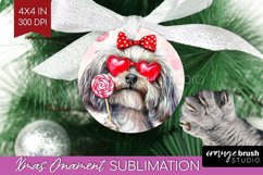 Havanese Valentine Ornament PNG Valentines Day PNG Product Image 1