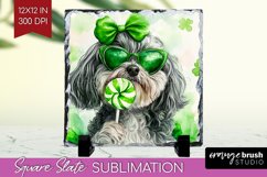 Havanese St. Patricks Day Dog Slate PNG Dog Square Slate Product Image 1