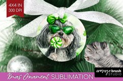 Havanese St. Patricks Day Dog Ornament PNG Dog PNG Product Image 1