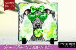 Italian Greyhound St. Patricks Day Dog Slate PNG Dog Square Product Image 1