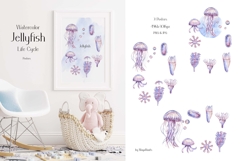 Watercolor Jellyfish Life Cycle Set Bundle Product Image 2