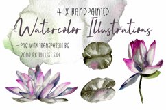 Water Lilies Watercolor Illustrations and Graphics Product Image 2